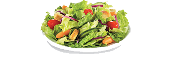 Salads Villanova PA